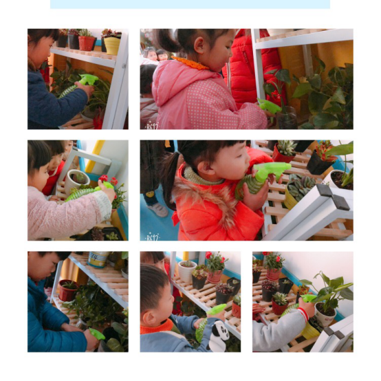 文檔(修)-讓“植物角”成為孩子親近自然“窗口”316.png