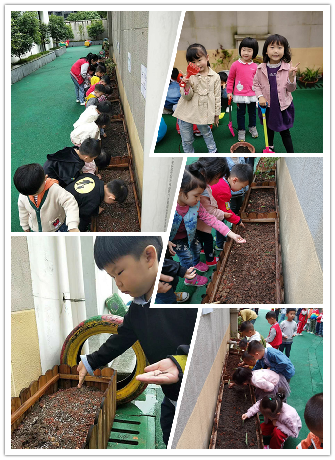 未命名.png 未命名.png