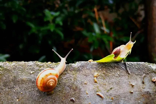 微信圖片_20200928211836.jpg 微信圖片_20200928211836.jpg