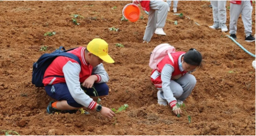 1621044897966450.png 1621044897966450.png