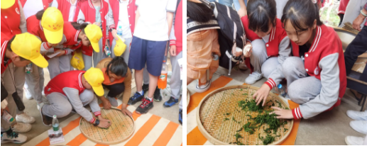 1621044694880172.png 1621044694880172.png