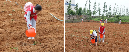 1621044931201991.png 1621044931201991.png