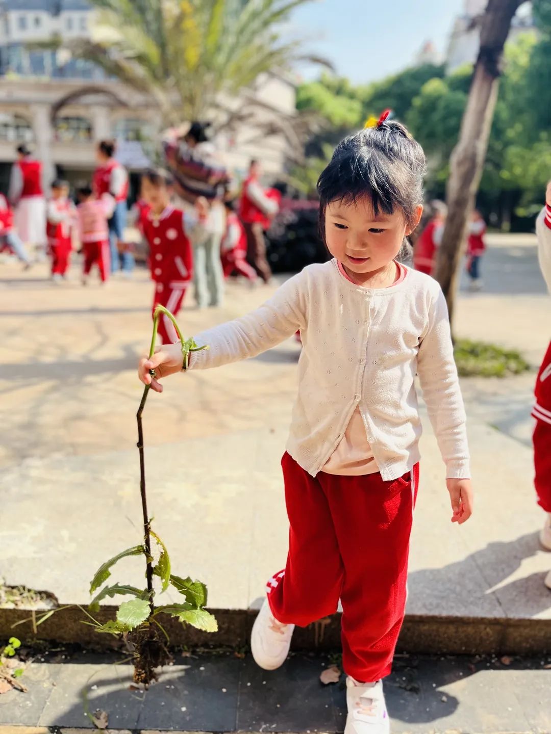 3c885522941d62b53f45154166006670.jpg 3c885522941d62b53f45154166006670.jpg