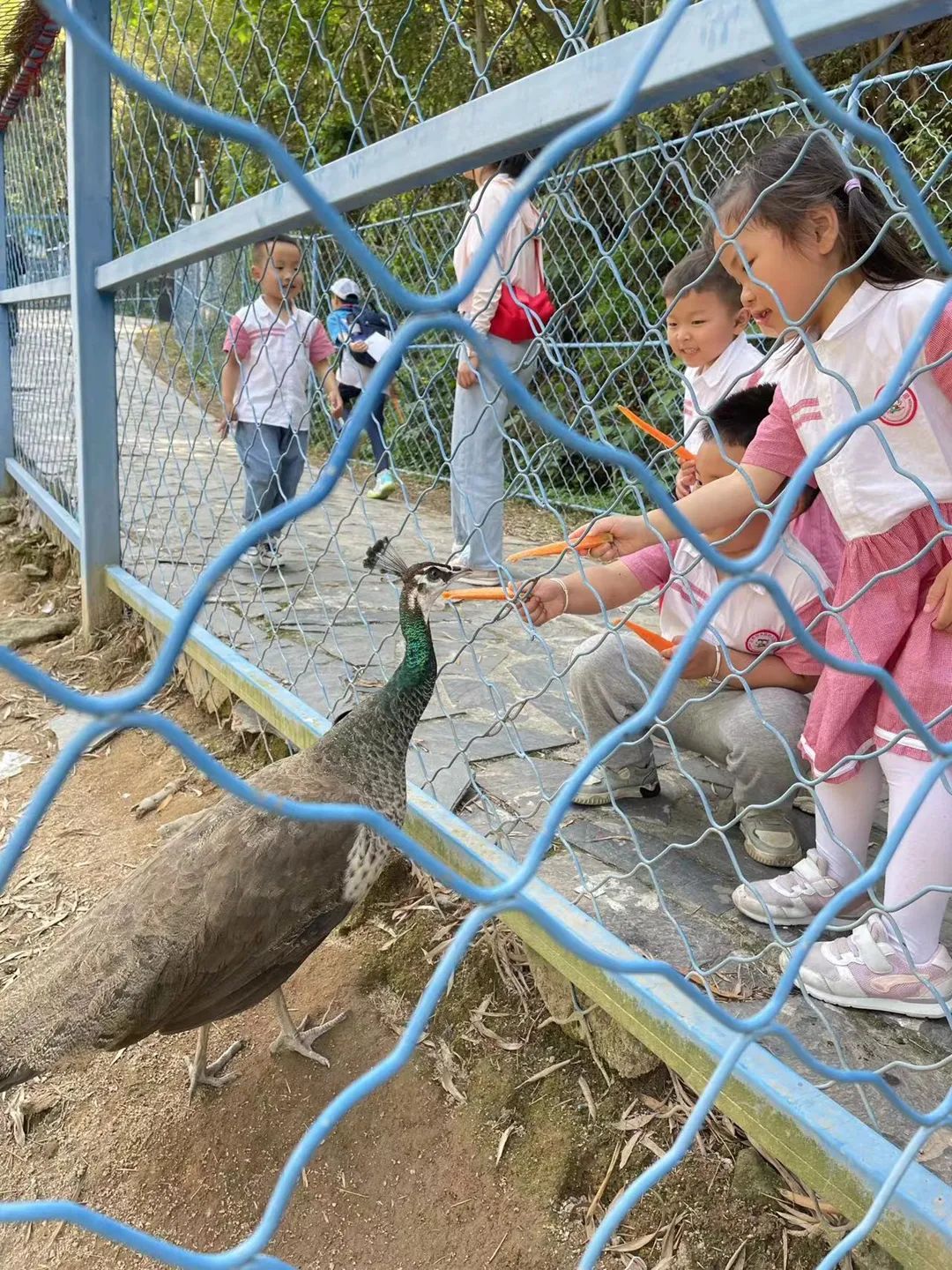 b16279a29450c513ddae6507ef88cb48.jpg b16279a29450c513ddae6507ef88cb48.jpg