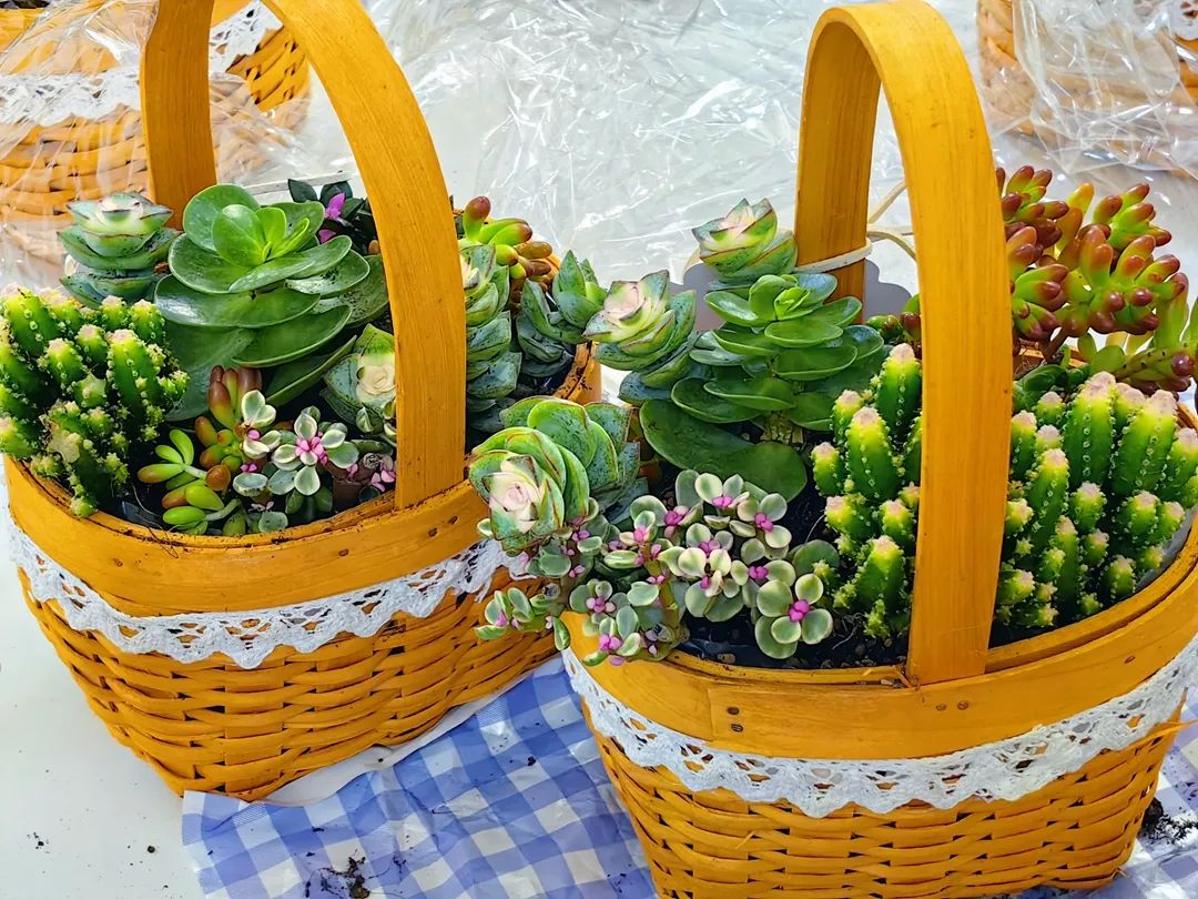 0efed34070482a8206260877bf0cce84.jpg 0efed34070482a8206260877bf0cce84.jpg