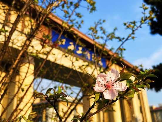 90f26e7d4ef0b295f498b35c09e2f3bd.png 90f26e7d4ef0b295f498b35c09e2f3bd.png