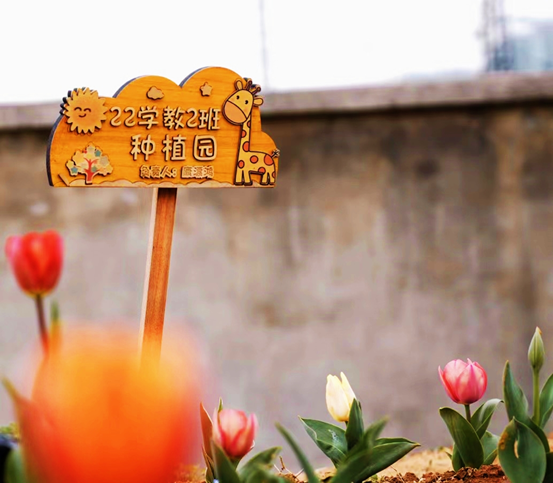 0556b06b33bed2c81c3f24de4053be90.png 0556b06b33bed2c81c3f24de4053be90.png